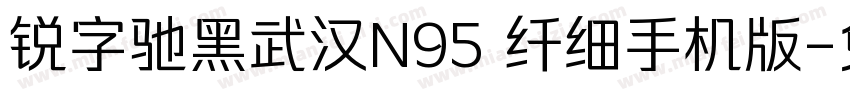 锐字驰黑武汉N95 纤细手机版字体转换